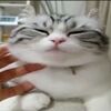 Иванов Иван Иваныч